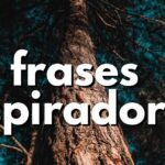 25 frases para alejar a amigos falsos de tu vida