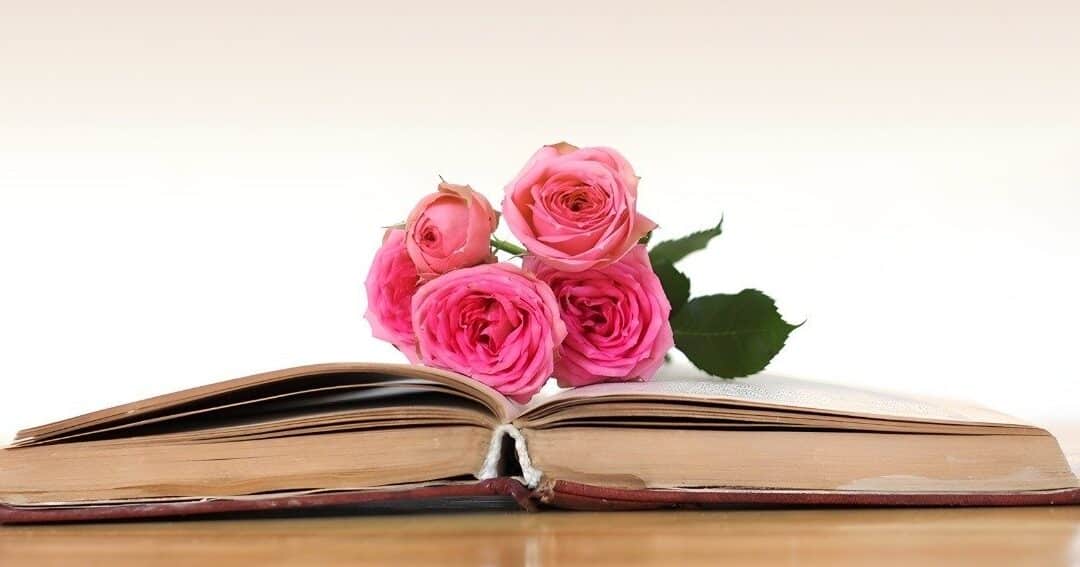 10 poemas cortos para hermanos que expresan amor y gratitud