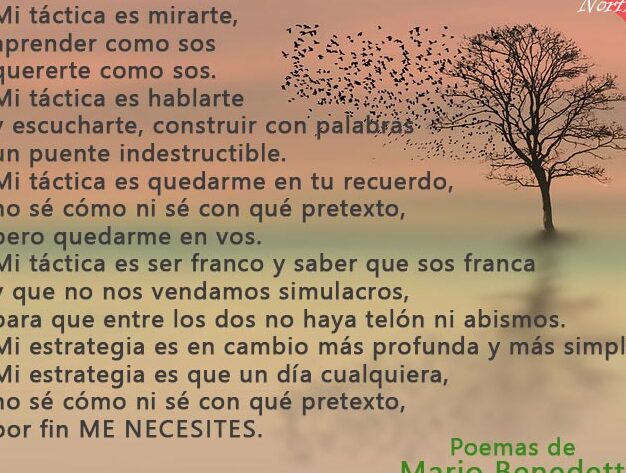 Poemas De Amor Con Rimas Para Enamorar Expr Sate Rom Nticamente